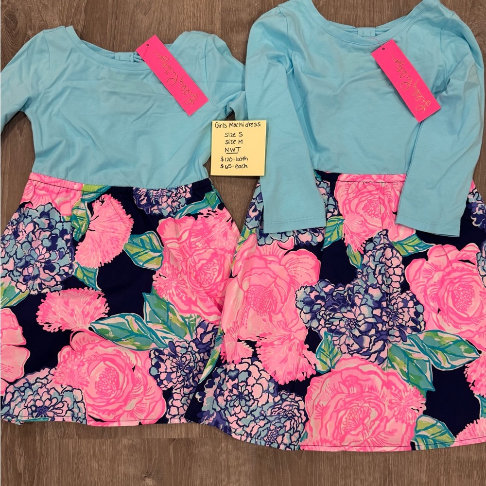 Lilly Pulitzer Blue and Pink Fit and Flare Mochi Dress